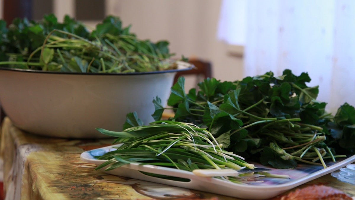 green leaves on white ceramic bowl
